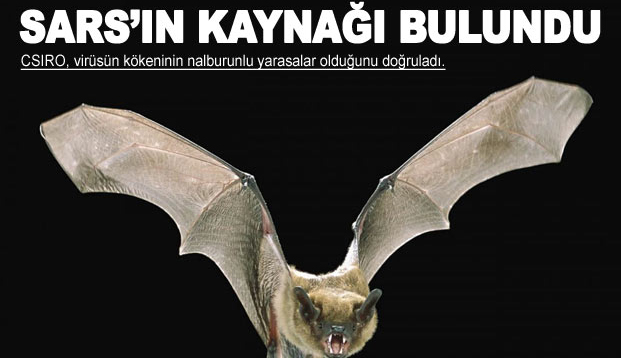 SARS'�n kayna�� yarasalar